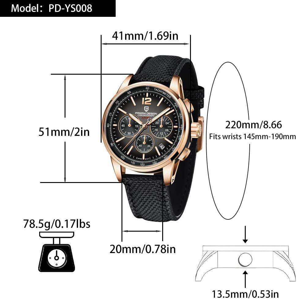 PAGANI DESIGN New Mens Watch 4 - огляд і ціна Luxury Watch Men